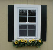 Flower Box / Shutters